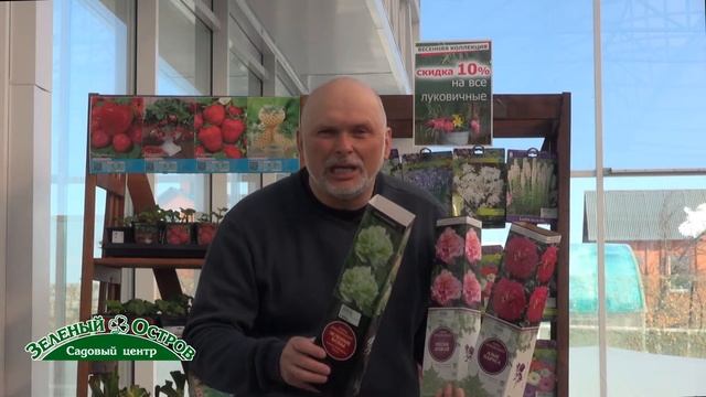 Пион древовидный смотреть онлайн