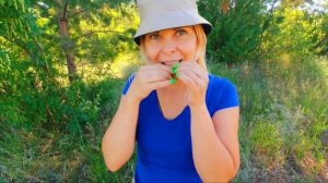 Пикульки/пищалки/свистульки из акации. мастер-класс))