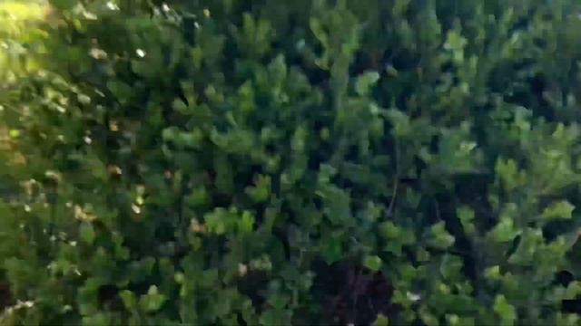 Find The Hidden Bomb Game! Loser DESTROYS IPHONE! смотреть онлайн