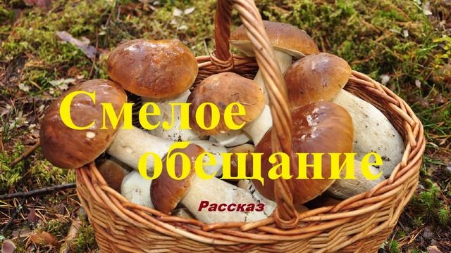 Смелое обещание.. (рассказ)