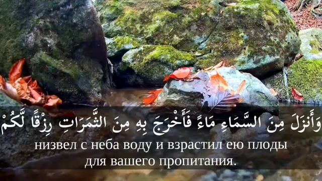 Аяты из Сура Аль-Бакара 20-24 смотреть онлайн