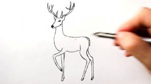 Как нарисовать Серебряное копытце