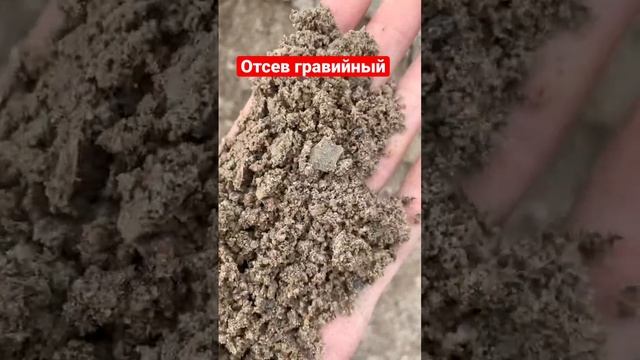 Отсев гравийный смотреть онлайн