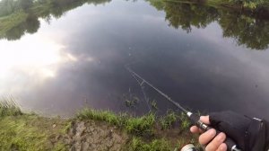 Рыбалка в Сургуте  Солкино 16 07 2017