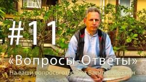"Вопросы-Ответы", Выпуск #11 - Василий Тушкин отвечает на ваши вопросы