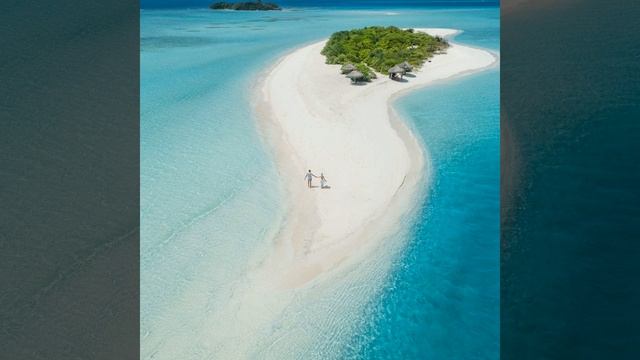 Учтивый (Моменты) Готовить обед смотреть онлайн