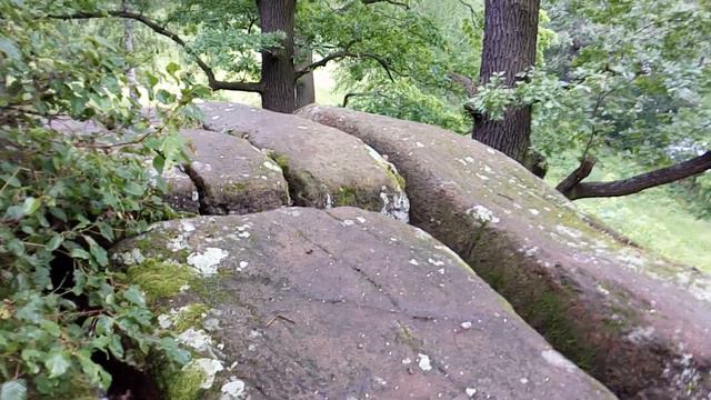 Тест камеры Infocus M560/M808/V5 смотреть онлайн