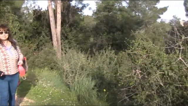 Прогулка у моря и в парке Нешер (2021 год) смотреть онлайн