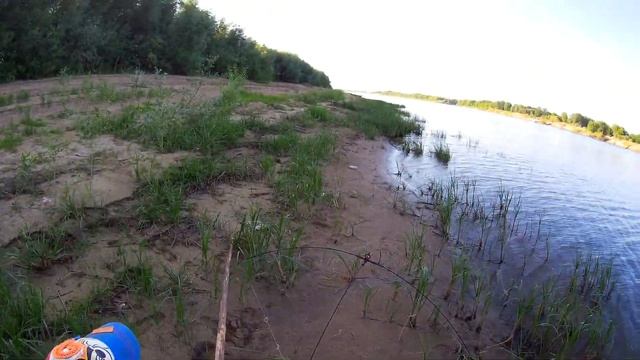 Пауком на реке Оке. Карась на донку в Оке. смотреть онлайн