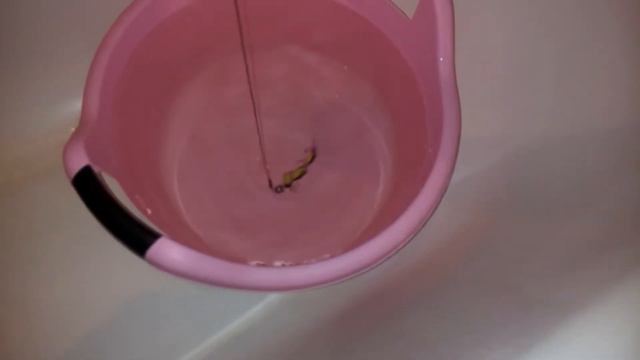 Ларва из детского коврика смотреть онлайн