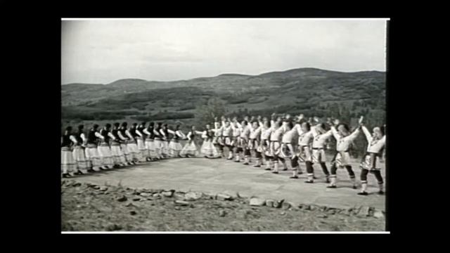 Зарифа 1980-е