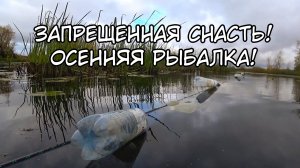 Запрещенная снасть! Рыбалка на щуку осенью на живца. Осенняя рыбалка!