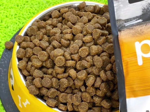 Корм для миниатюрных собак PROBALANCE IMMUNO MINI смотреть онлайн