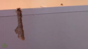 КАК НАВЕСИТЬ ШКАФ В ВАННОЙ КОМНАТЕ//МОЯ ЛЮБИМАЯ УСАДЬБА