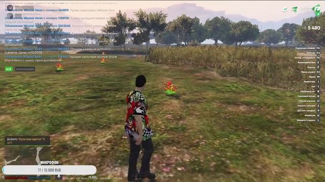 Стрим по GTA 5 RADMIR смотреть онлайн