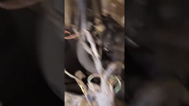 Шатается ТНВД 4м40 смотреть онлайн