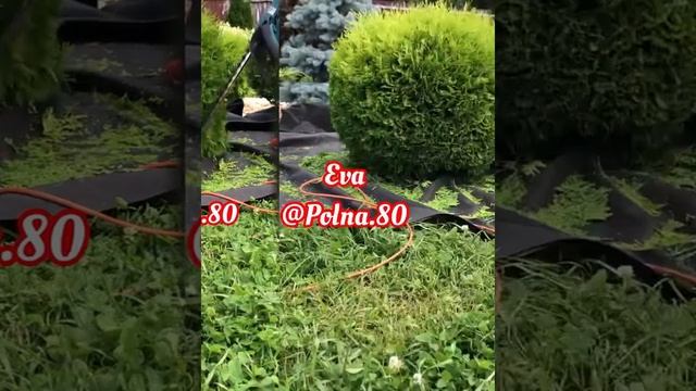 ?БЕСПЛАТНЫЙ?МАСТЕР-КЛАСС форма ШАР. ТЕХНИКА СТРИЖКИ смотреть онлайн