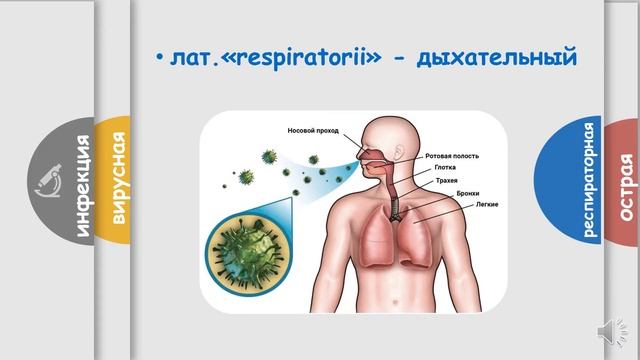 Что такое ОРВИ. Почему вирусов много, а болезнь одна смотреть онлайн