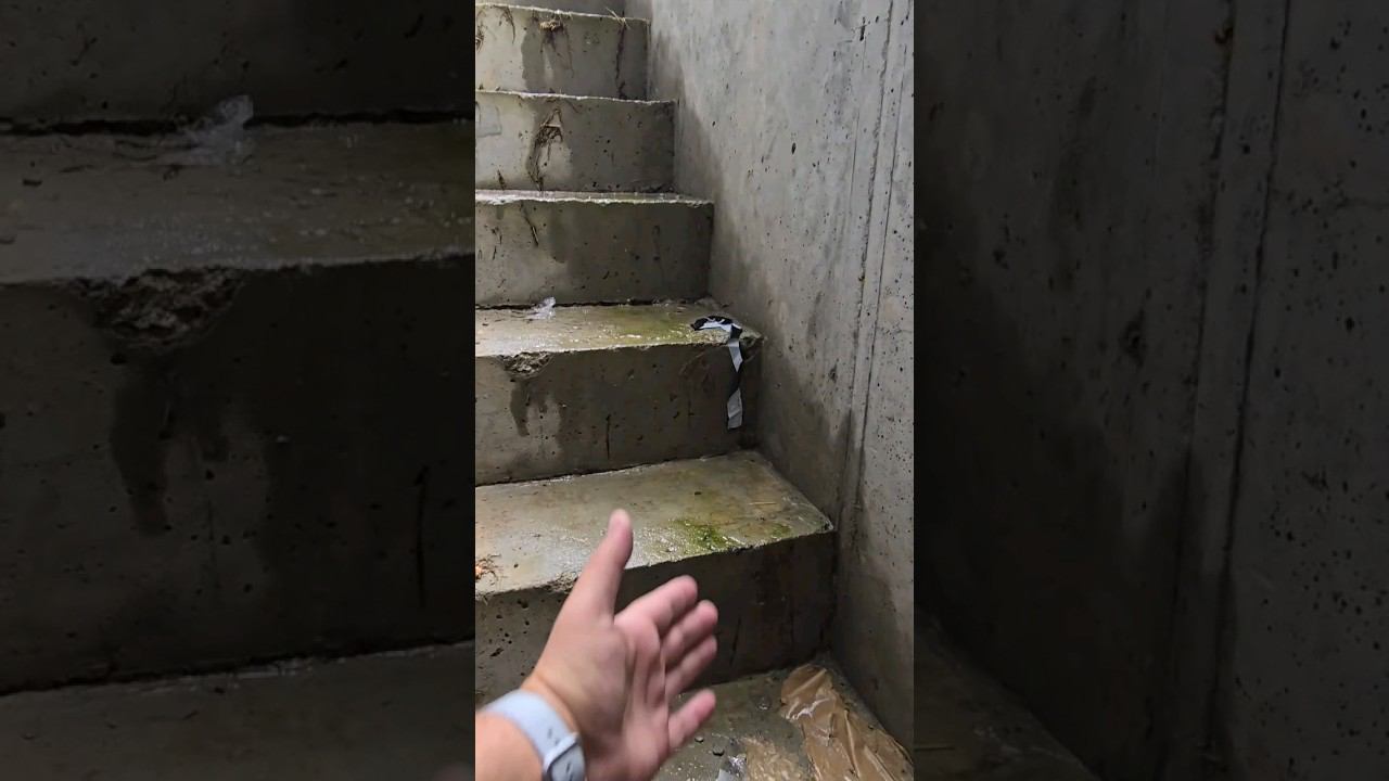 8 месяцев со сдачи и вы только посмотрите что с ним стало #андрейартемов #новостройки #янино #к смотреть онлайн