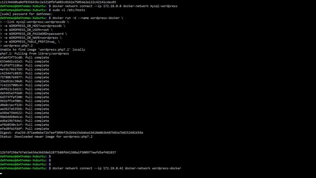 Docker 101: Looking at WordPress' Docker Image and Comparing it to My Custom Docker Image смотреть онлайн