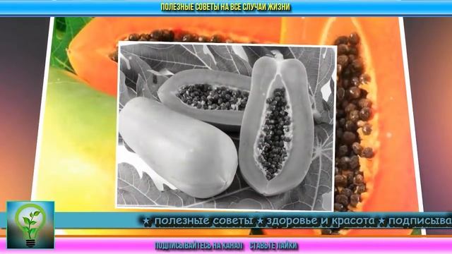 Продукты, которые вы не должны хранить в холодильнике. Самые полезные советы на каждый день смотреть онлайн