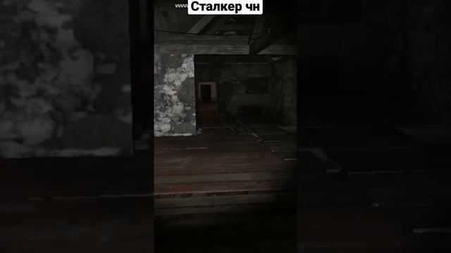 Как получить много денег в сталкер чн в начале игры, интересный баг. #short #рекомендации #сталкер смотреть онлайн