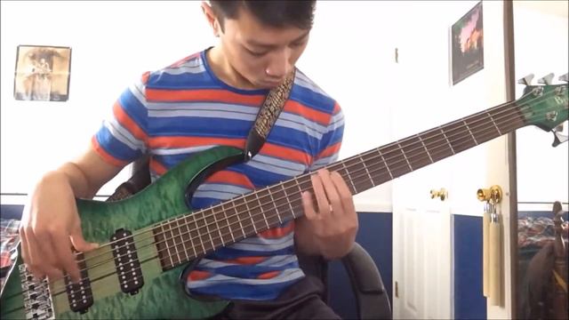 Destiny Highlight (Bass Cover) - Galneryus смотреть онлайн