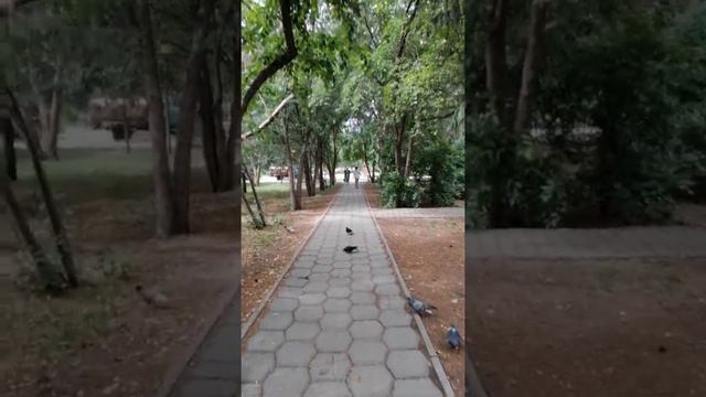 ГОНЧАР СЕРГЕЙ. НОСТАЛЬГИЯ! смотреть онлайн
