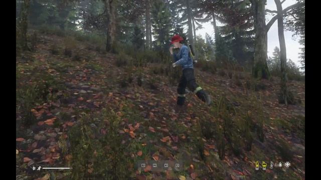 DayZ. Прогулка с незнакомцем смотреть онлайн