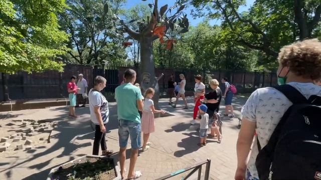 Прогулка. Кронштадт. Остров фортов. Метеор.Питер. смотреть онлайн