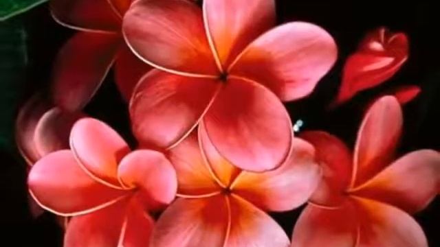 Raag Durga for Anahata смотреть онлайн