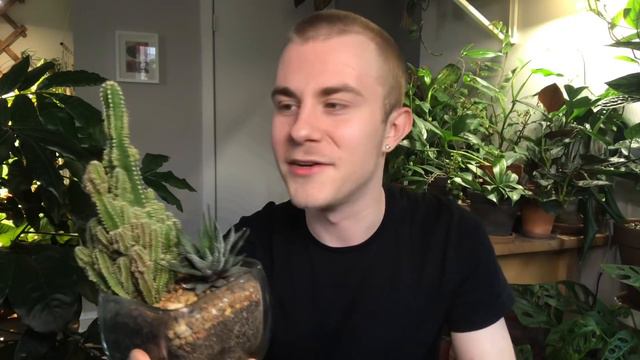 My Favorite Succulents & Cacti | 2019 смотреть онлайн