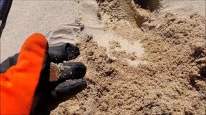 Поиск золота, в голубой лагуне !!!!!