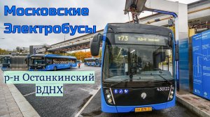 Московские Электробусы Весенний р-н Останкино, ВДНХ