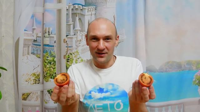 Тамарилло. Необычный плод с томатного дерева. Пробую смотреть онлайн