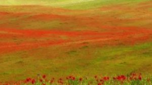 Тихий вечер, закат нежно-розовый