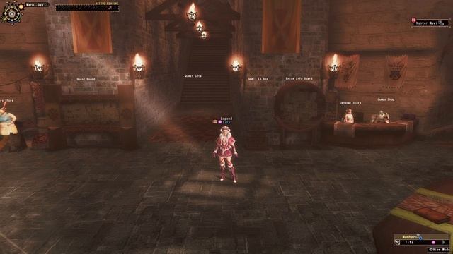 P11 - Transcendence - Monster Hunter Frontier Beginner Guide Reboot смотреть онлайн