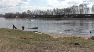 Старт лодок Роджер TROFEY 310? Звезда 310 (крепыш) киль.