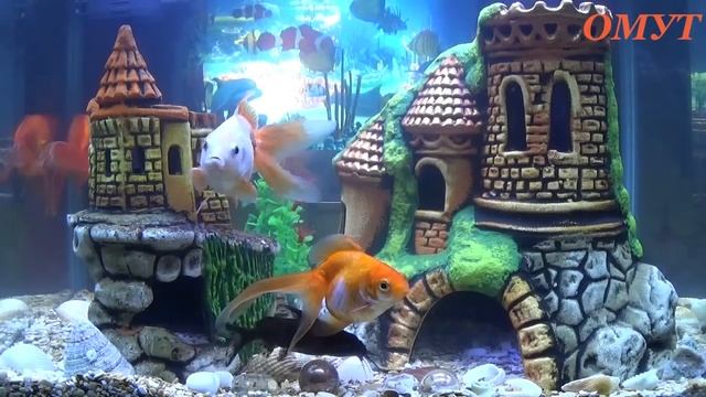 141.ОТБИВНОЙ ЗАГОВОР...И ВАШИ КОММЕНТЫ ДРУЗЬЯ !!! смотреть онлайн