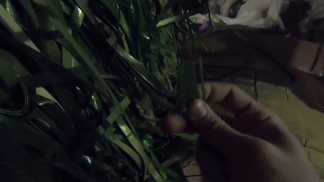 Начинаем сбывать неликвиды. Пункт приема вторсырья ДРУГ Recycling смотреть онлайн
