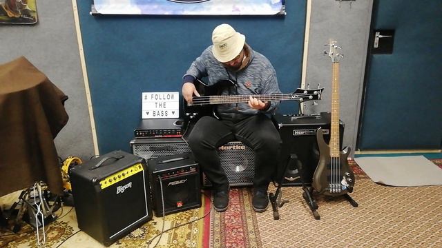 Dean Edge 1/Bigson B40/Peavay MicroBass/Hartke HD500