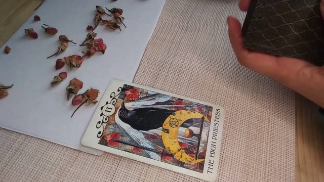 LEO♌Amazing New Beginning Sets Out a Path of Abundance! JANUARY 16th-22nd смотреть онлайн