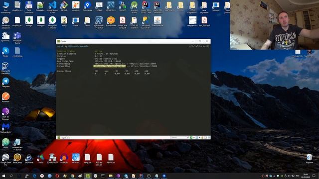 Telegram bot на Java | Webhook, Spring, Heroku