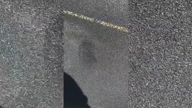 Тест раптора на прочность (раптор) царапины