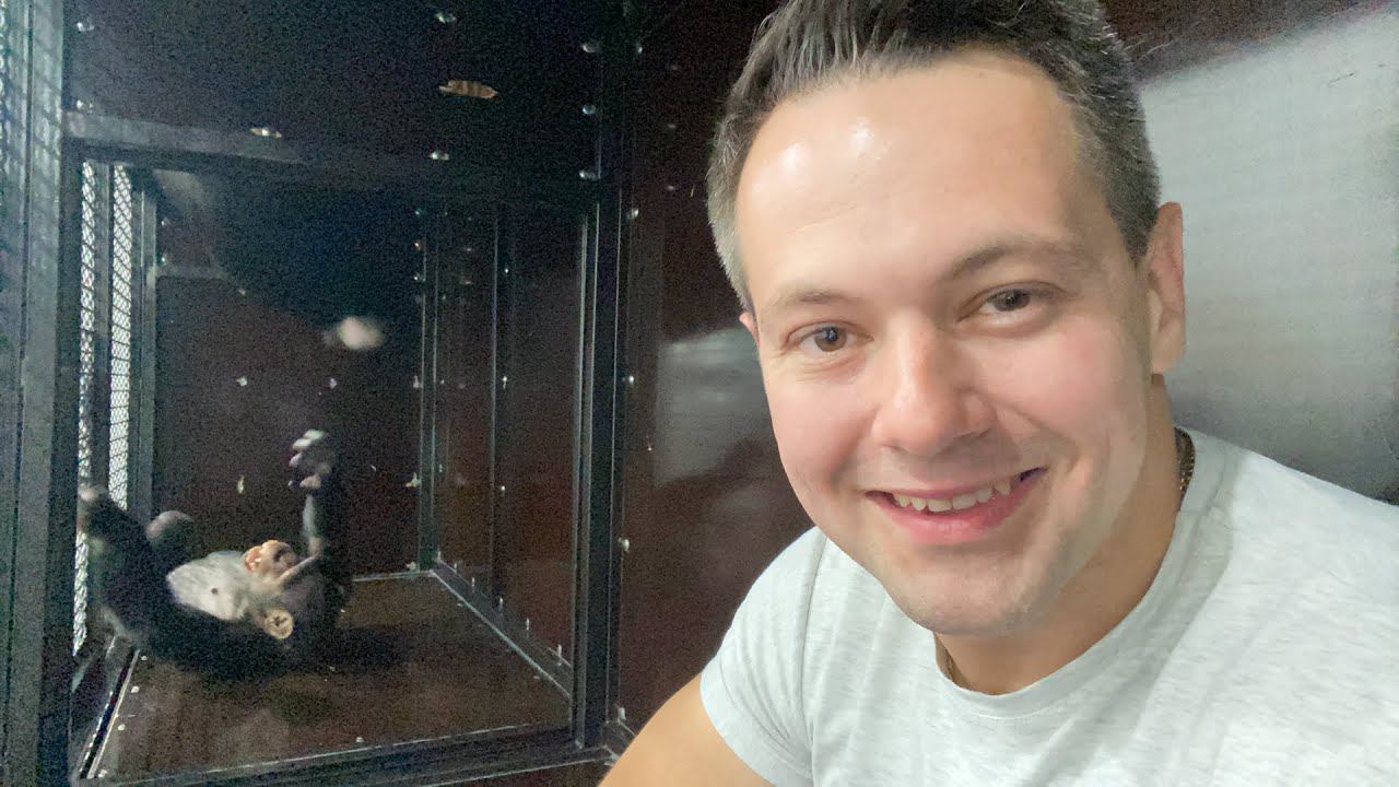 Дан Запашный и его обезьяны, шимпанзе Мальта и Боня в прямом эфире смотреть онлайн