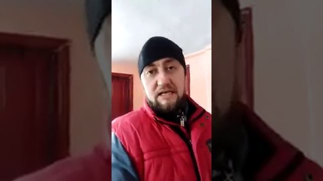 Проращиваем пшеницу для кур. Лёгкий способ. смотреть онлайн
