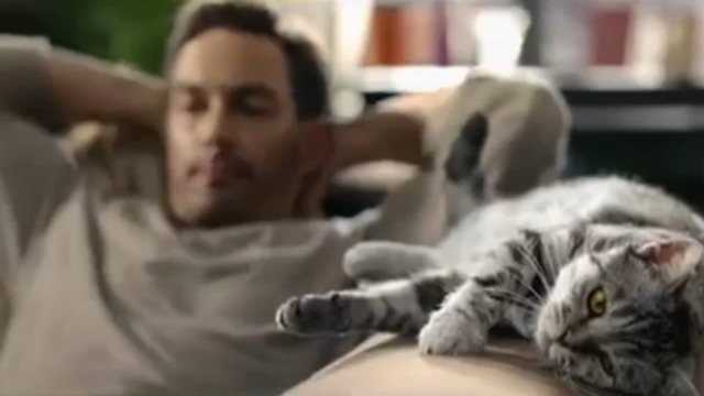Whiskas для кошек старше 8 лет смотреть онлайн