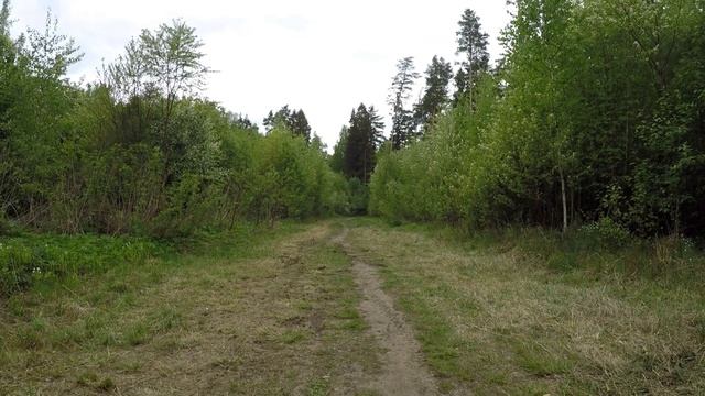 ZM Hopper S: Go Ride! 2023 смотреть онлайн