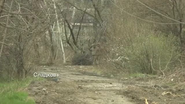 Бармалей-2022, или последняя схватка с нацизмом смотреть онлайн
