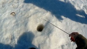 Жесть НА рыбалкЕ.С такими "рыбаками" удачи не видать. Как не нужно делать на рыбалке..